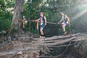 BIB: 
                            <button type="button" onclick="openModal(27307393)" class="btn btn-primary btn-sm float-right btn-popup" data-toggle="modal" data-target=".modal-high-quality">
                        <i class="fas fa-shopping-cart"></i> Add to Cart
                    </button>
                                            <button type="button" onclick="isThisMe(27307393, true)" class="btn btn-success btn-sm float-right btn-popup btn-isme hidden" data-toggle="tooltip" data-placement="bottom" title="นี่คือรูปของคุณใช่ไหม คลิกที่นี่เพื่อเอาเข้าอัลบั้ม">
                        <i class="fas fa-plus"></i> Add to album
                    </button>
                    <button type="button" onclick="isThisMe(27307393, false)" class="btn btn-warning btn-sm float-right btn-popup btn-isnotme hidden">
                        <i class="fas fa-ban"></i> Remove from album
                    </button>